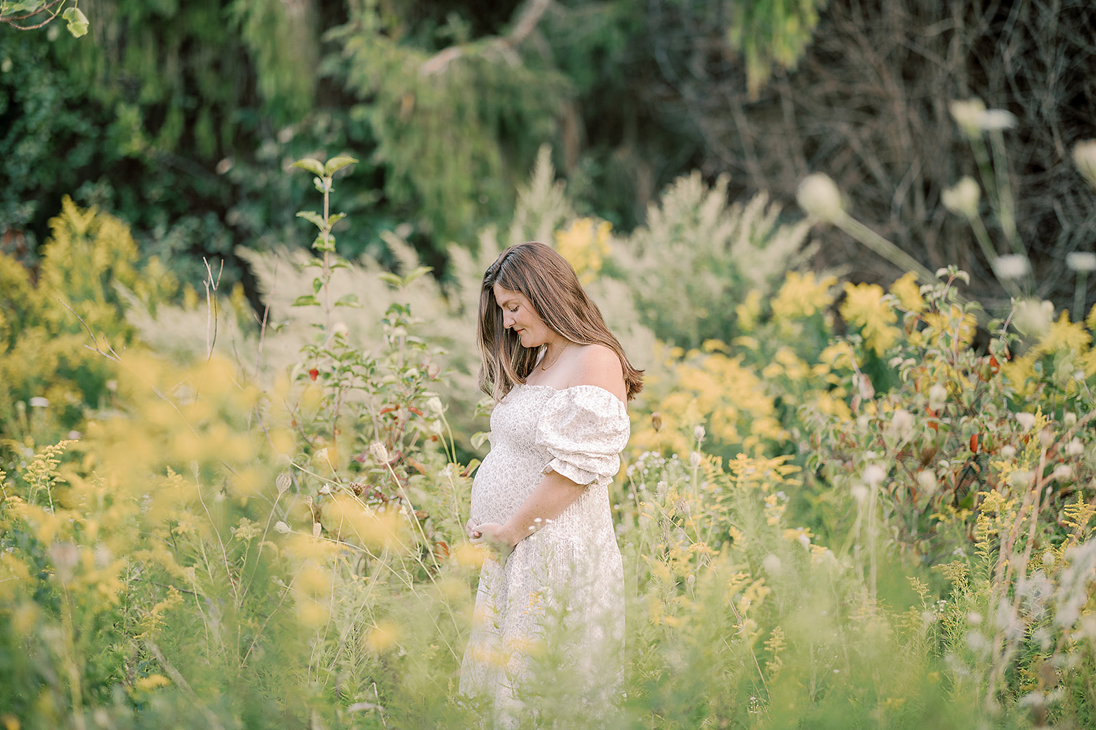 Pregnant mom holding and looking down at her belly while in a field of flowers